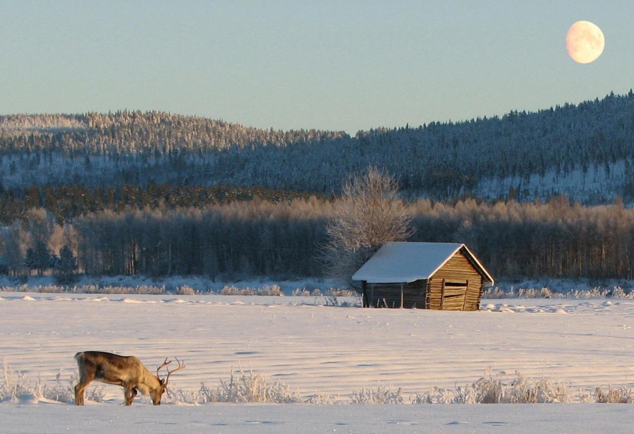 Stuga Vid Hedenaesets Stencafe Exteriér fotografie